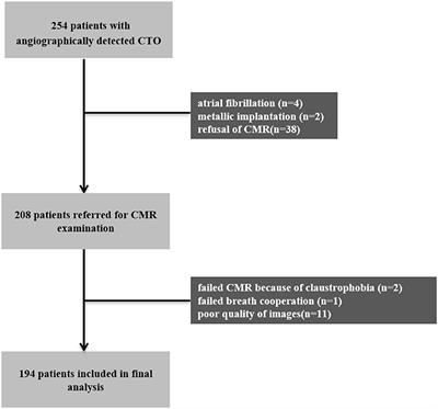 Myocardial Viability, Functional Status, and Collaterals of Patients With Chronically Occluded Coronary Arteries